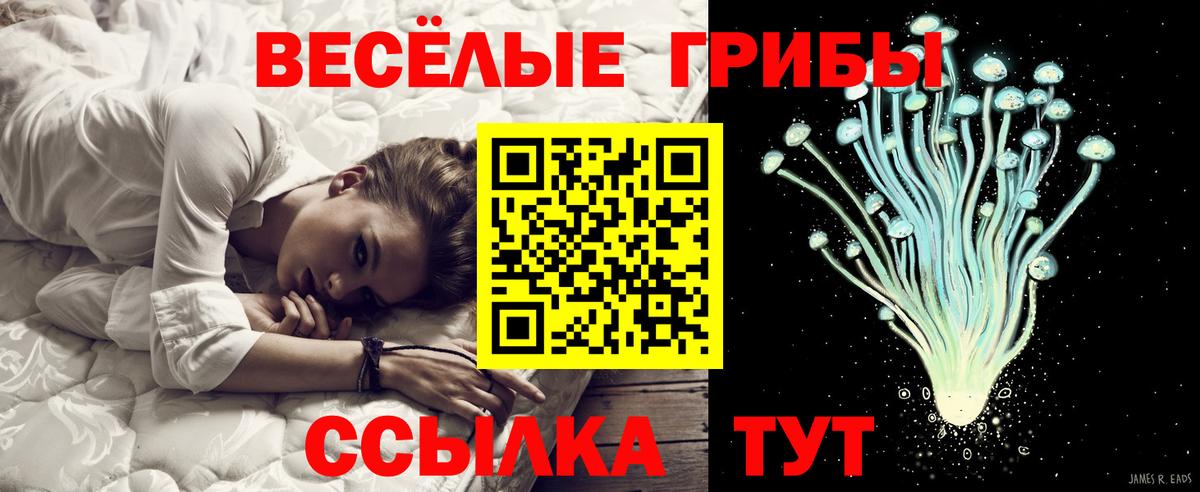 Галлюциногенные грибы Magic Shrooms Серпухов
